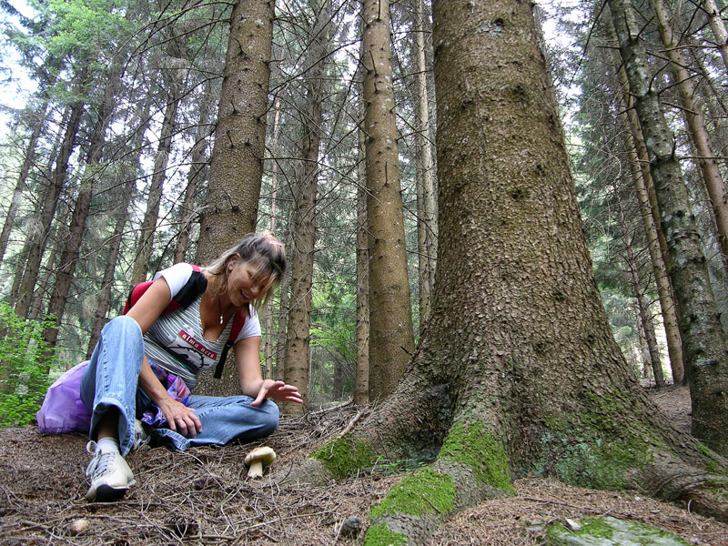 Ritrovamenti del 19 luglio.